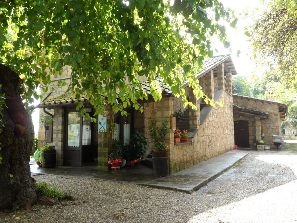 Mola Solis Hotel Civitella d'Agliano Exterior photo