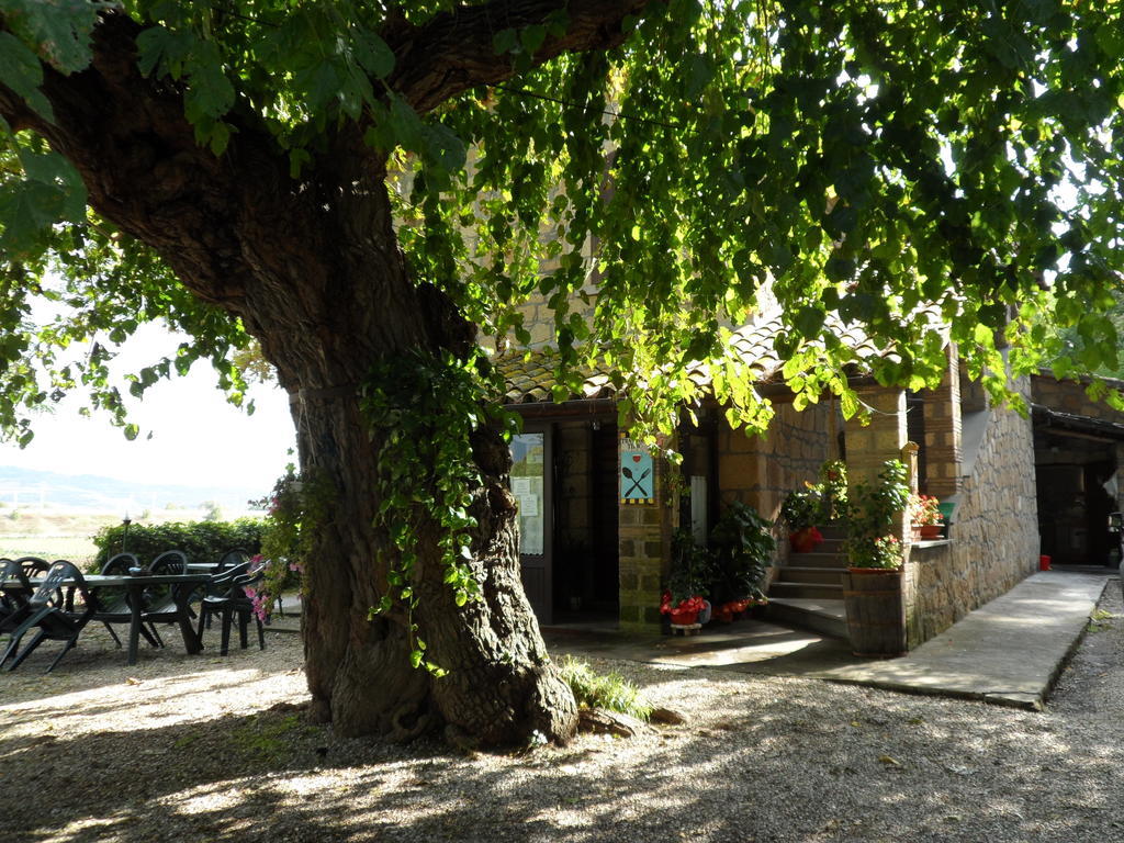 Mola Solis Hotel Civitella d'Agliano Exterior photo