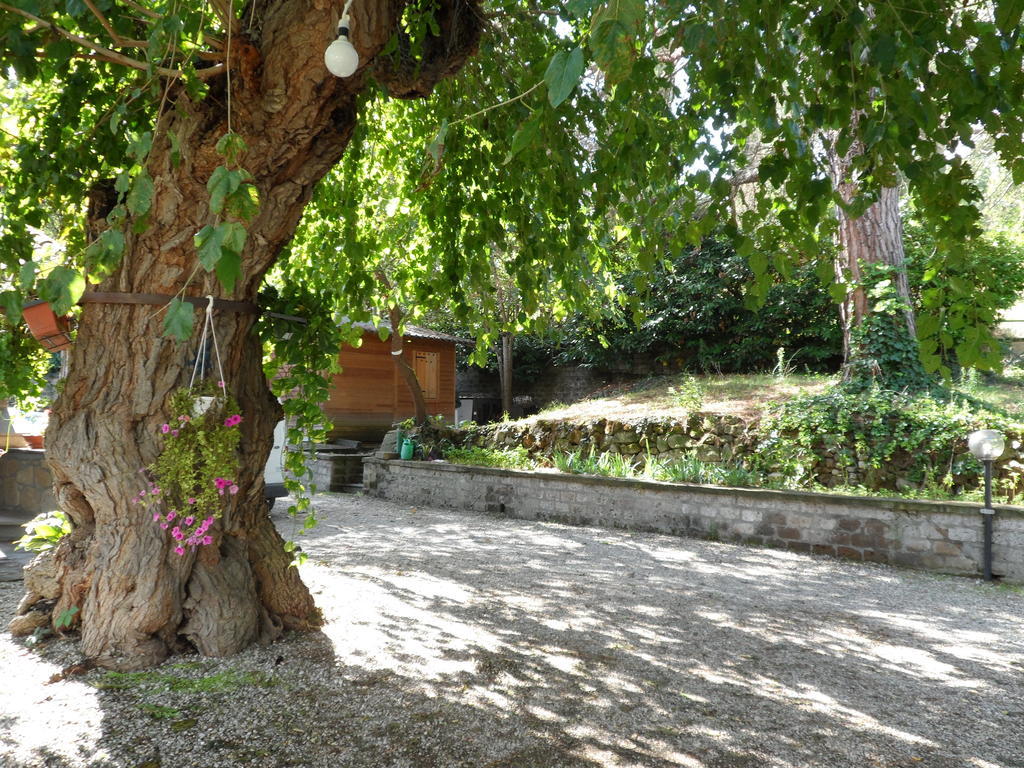 Mola Solis Hotel Civitella d'Agliano Exterior photo